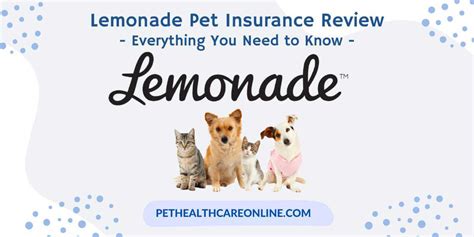 lemonade pet insurance michigan.